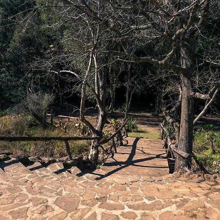 Anew Resort Ingeli Forest Kokstad Kokstad  Zewnętrze zdjęcie