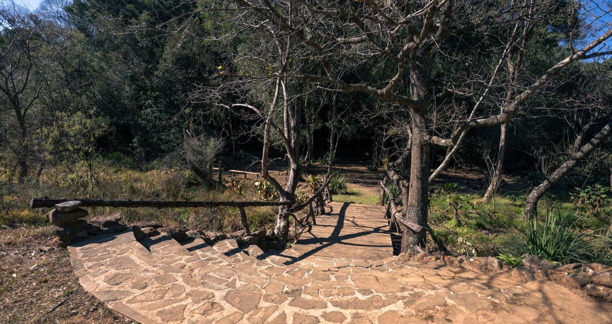 Anew Resort Ingeli Forest Kokstad Kokstad  Zewnętrze zdjęcie